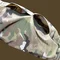 Военная форма Multicam Combat