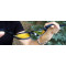 Очки защитные фотохромные Global Vision Hercules-1 Photochromic (clear) прозрачные фотохромные