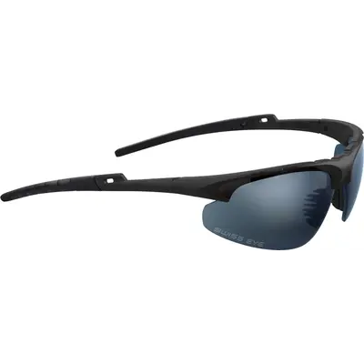 Очки Swiss Eye Apache черные