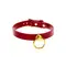 Ошейник с кольцом и поводком Taboom O-Ring Collar and Chain Leash
