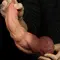 Dual-Layered Silicone Nature Cock 9.5" - Фалоімітатор, 24.5 см (тілесний)