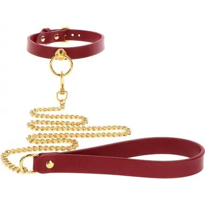 Нашийник з кільцем та повідцем Taboom O-Ring Collar and Chain Leash