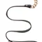 Taboom Statement Collar and leash - Ошейник с поводком, (розовое золото)