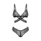 Комплект еротичної білизни Obsessive Blomentis 2-pcs set, M/L