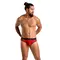 Passion - 031 SLIP MIKE red - Чоловічі труси з леопардовим принтом, XXL/XXXL