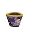 Shunga Massage Candle - Масажна свічка з ароматом екзотичних фруктів, 30 мл