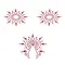 Petits Joujoux Gloria set of 3 Red - пэстис из кристаллов, украшение на грудь и вульву, (красный)