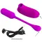 Pretty Love - Curupira Multifunctional Sucker Purple - Вакуумний стимулятор + віброяйце (фіолетовий)