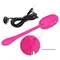 Pretty Love Doreen Vibrating Egg Pink - Виброяйцо, 19 см (розовый)