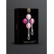 Gvibe Geisha balls Mini - Интимные шарики для начинающих, 2.2 см (розовый)