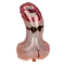Penis XL Balloon - Повітряна кулька у формі пеніса, 44,5 х 74 см (тілесна)