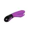 Adrien Lastic Ares 2.0 - Вибратор-кролик для стимуляции точки G и клитора, 20.6х3.8 см (фиолетовый)