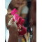 Gvibe Grabbit Mini - Уменьшенный вибратор для клитора и точки G с тремя моторами, 19 см (розовый)