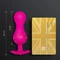 Gvibe Gballs 3 App Petal Rose - тренажёр интимных мышц, 8х3 см (розовій)