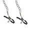 Кляп с зажимами для сосков Wild Play Mouth Gag With Nipple Clamps C15