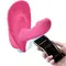 Вібратор зі смарт керуванням Pretty Love Fancy Clamshell