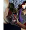 Gvibe Greal 2 - Супер реалистичный вибратор из Bioskin, 15х4 см (фиолетовый)