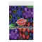 Серветка для орального сексу Trustex Grape Latex Dental Dams зі смаком винограду, 1 шт