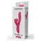 Вибратор-кролик Dream Toys Dual G-Spot Vibe