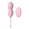 Dream Toys Beehive - Вагинальные шарики с дистанционным пультом, 8х3 см (розовый)