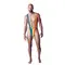 Еротичне чоловіче боді Rainbow Mankini One Size