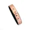 Ошейник с зажимами для сосков Liebe Seele Rose Gold Memory Collar with Nipple Clamps