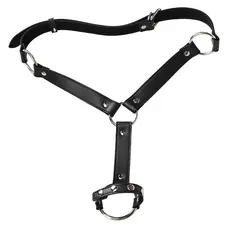 Бондажный набор для мужчин Wild Play Male Bondage Set С13