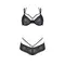 Комплект Passion DROSERA BIKINI black, S/M