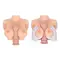 Мастурбатор Kokos Bouncing Titties D