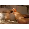 Вібратор для клітора We-Vibe Temp Tangerine