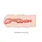 LyBaile Crazy Bull Isabel Pocket Masturbator Flesh - Мастурбатор, 13,5 см (тілесний)