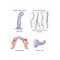 Strap-On-Me Dildo Plug P&G M - Насадка для страпона, 15х3.6 см