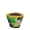 Shunga Massage Candle Exotic Green Tea - Масажна свічка з ароматом зеленого чаю, 170 мл
