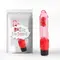 Вибратор Chisa Basic Luv Theory Realistic Vibe, 22.5 см