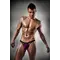 Passion 006 Slip - Чоловічі трусики сліпи, XXL/XXXL (фіолетові)