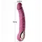 Вібратор Boss Realistic Vibrator