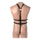 Strict Male Full Body Harness - мужская сбруя на все тело, S-L (чёрный)