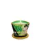 Shunga Massage Candle Exotic Green Tea - Масажна свічка з ароматом зеленого чаю, 170 мл