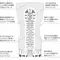 Tenga Squeeze Tube Cup м'яка подушечка Gentle - мастурбатор, 15х5 см