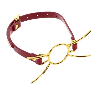 Кляп-кільце Taboom Open Mouth Spider Gag