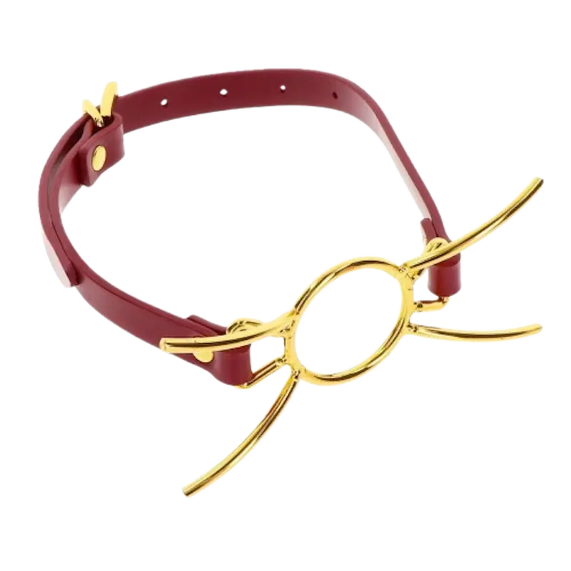 Кляп-кільце Taboom Open Mouth Spider Gag