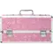 Большой кейс для хранения секс-игрушек BMS Factory Large Lokable Vibrator Case Pink