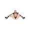 Fetish Tentation Neck, Wrist and Ankle Strap - Фиксаторы для ног и рук с маской на глаза