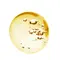 Масажна олія з гранатом EXSENS Garnet Argan, 100 мл