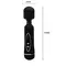 LyBaile Power Wand Black - Вібратор-мікрофон із двома насадками, 20х4.5 см (чорний)
