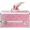 Большой кейс для хранения секс-игрушек BMS Factory Large Lokable Vibrator Case Pink