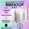 Віброяйце та вакуумний стимулятор у зарядному кейсі 2в1 BeYourLover Magic Suitcase