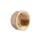 Заглушка Thermo Alliance Standart 1/2" ВР SD40215