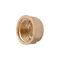 Заглушка Thermo Alliance Standart 1/2" ВР SD40215