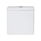 Унітаз підлоговий Qtap Tern Ultra Quiet безобідковий з сидінням Soft-Close QT17222175AUQ1W White
